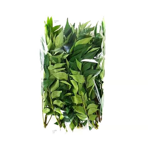 أوراق الكاري، عبوة واحدة Curry Leaves, 1 Pack