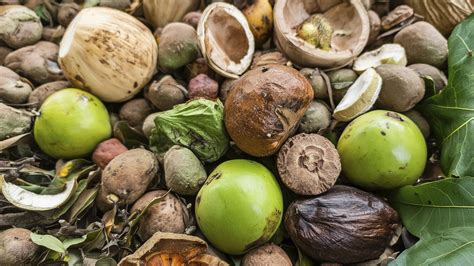 What is Organic Waste? What is Household Organic Waste?