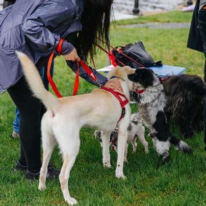 Airbnb Office Photos