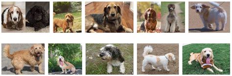 Image result for Send an Email Using Computer