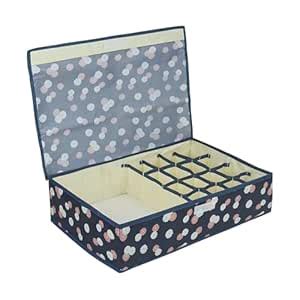 NFI essentials 16+1 Compartment Foldable Storage Box, Multi Closet ...