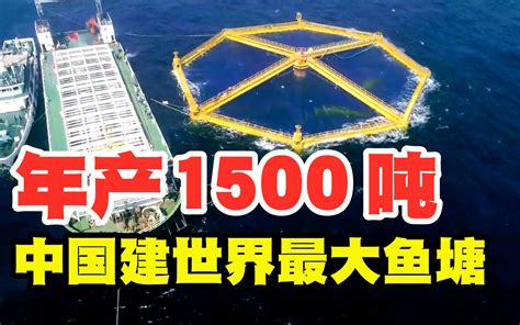 年产1500吨，中国在黄海建“全球最大深海鱼塘”，场面太壮观！_哔哩哔哩_bilibili