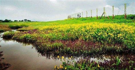 Explore 12 Best Places To Visit In Satara On A Trip To Maharashtra