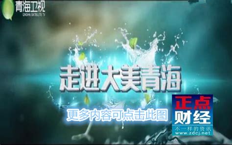 青海藏语电视台节目表_青海藏语电视台直播 - 随意云