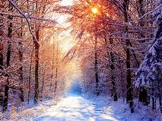 Winter Wallpaper Backgrounds by Wallpaper Winter Desktop Wallpapers And Backgrounds Winter Wallpaper Backgrounds