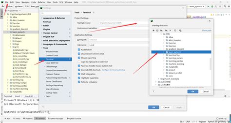 PyCharm Terminal 的图像结果