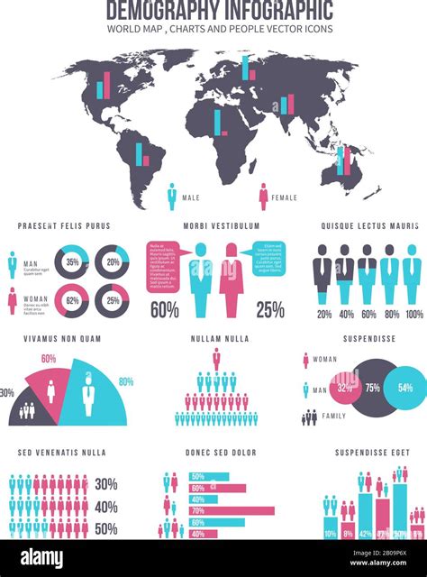 Demographic Infographic Template