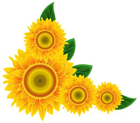 Sunflower free sunflower clip art free clipart images clipartbold ...