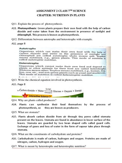 Image result for Class 7th Assignment