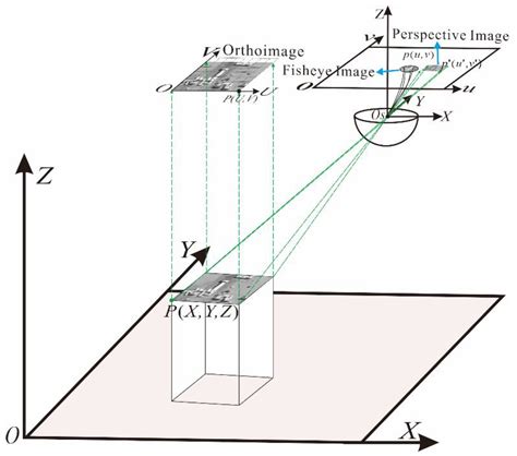 Orthorectification of Fisheye Image under Equidistant Projection Model