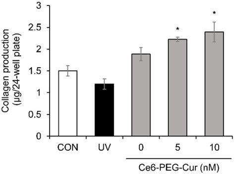 The Potential Anti-Photoaging Effect of Photodynamic Therapy Using ...
