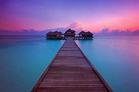 nature photography in florida