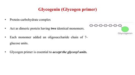 CH-03. Glycogen metabolism.pptx