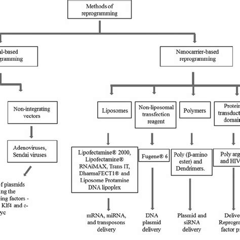 Image result for Reprogramming Graphic