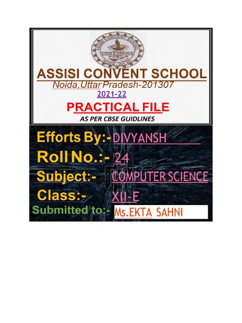 Image result for Practicle File Page