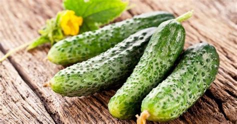 Какие огурцы класть в оливье: свежие или соленые - Со Вкусом