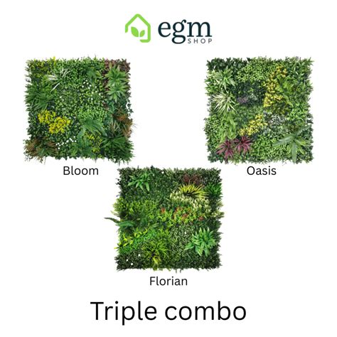 Image result for Triple Combo String