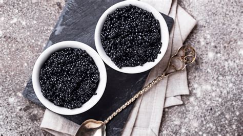 Types of Caviar: Improving Food Trade for Conservation | SIAA