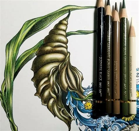 Image result for Polychromos Art Tutorials