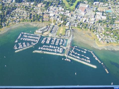 Harbour Air Seaplanes (Comox) - 2021 What to Know Before You Go (with ...