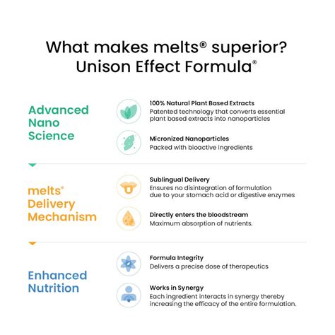 melts® Vitamin B12 Strips | B12 + Folate Supplement – Wellbeing Nutrition