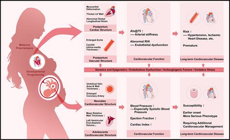 Vol 80, No 9 | Hypertension