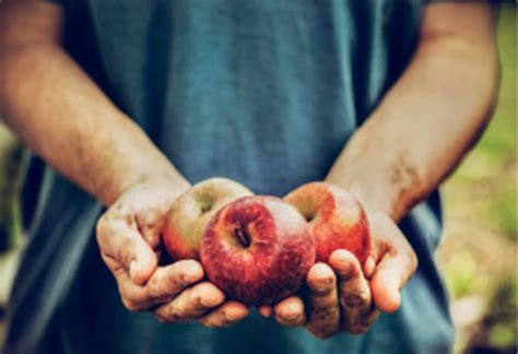 Soluções de Logística | Maersk