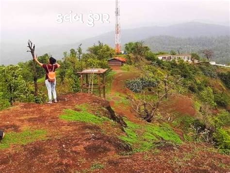 After a break in the rain, a beautiful dang between the drizzle and the ...