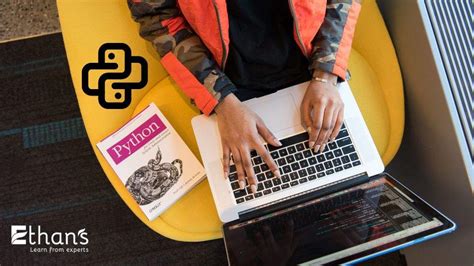 Why Is Python so Popular 的图像结果