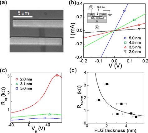 Image result for 20X Microscope Scale Bar