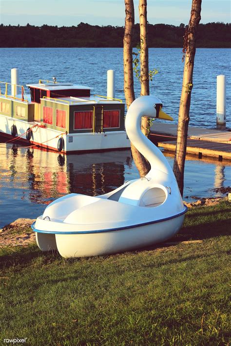 Where to find swan boats – Artofit