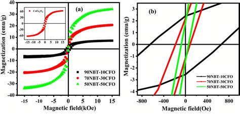 Magnetization 的图像结果