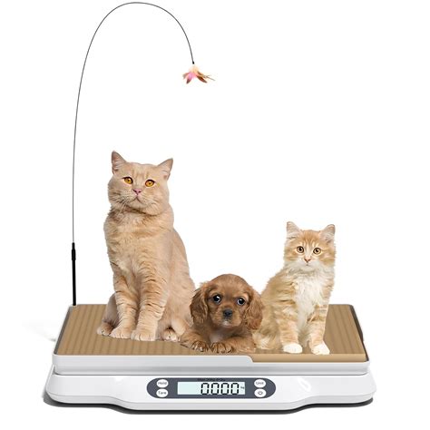 Amazon.com: LFGKeng Digital Small Animal Scale, Pet Weight Scale with ...