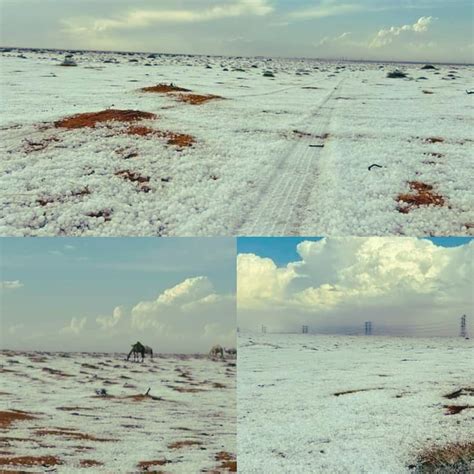 Rare Snowfall Transforms Al-Jawf Desert into a Winter Wonderland in Saudi Arabia