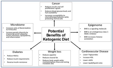 The Potential Health Benefits of the Ketogenic Diet: A Narrative Review