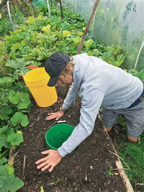 Basement Worm Farm 的图像结果