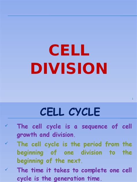 Cell Cycle (Cell Division) | PDF | Meiosis | Mitosis