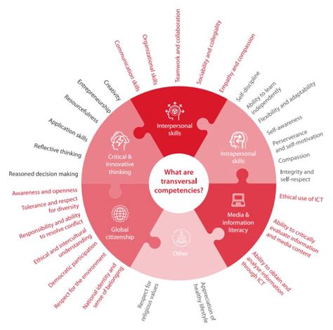 Competency Frameworks 的图像结果