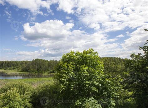 Real Nature 的图像结果