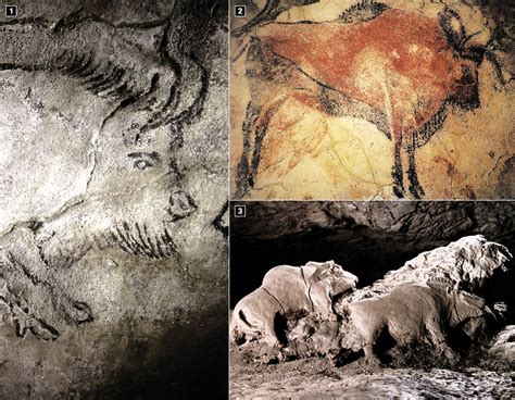 Image result for Ardipithecus Ramidus Fossils