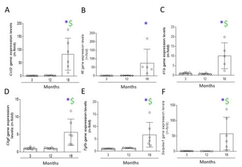 Oxidative Stress and Cellular Senescence Are Involved in the Aging Kidney