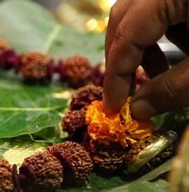 Official Website of Guruji, Shri Madhav Sadashivrao Golwalkar Mutt | India