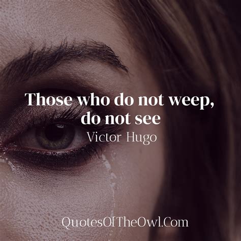 Those who do not weep, do not see - Victor Hugo's Quote Meaning ...
