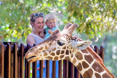 What is the Best Zoo Membership for 2026?