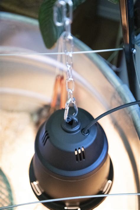 Image result for Turkey Brooder