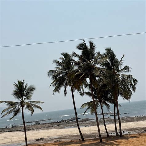 BEACH VILLAGE RESORT (Walavati) - Hotel Reviews, Photos, Rate ...