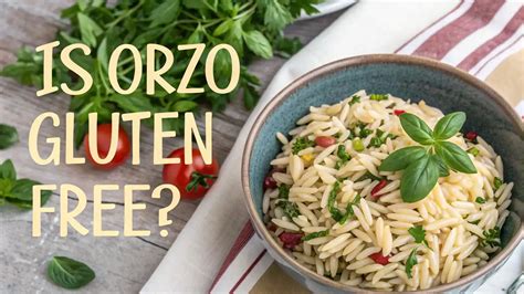 Is Orzo Gluten Free? Discover the Ultimate Answer Today