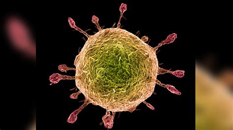 The Most Interesting Science News Articles of the Week | Live Science