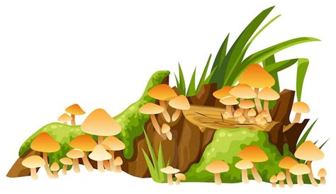 Mech grzyby miodowe na pniu kłód Cartoon złamane drzewo w tropikalnej ...