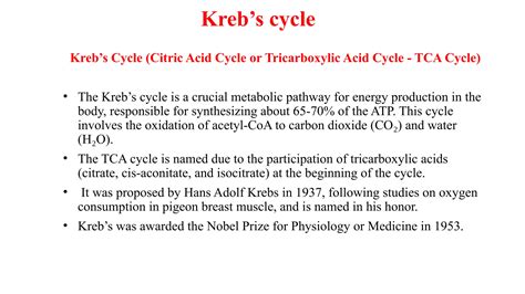 Kreb’s Cycle (Citric Acid Cycle or Tricarboxylic Acid Cycle - TCA Cycle). | PPTX